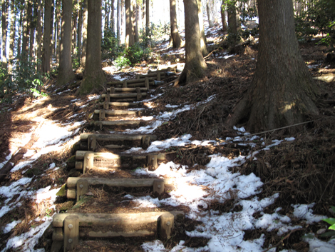 20160128hike (296)